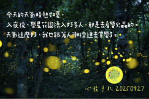 今天的天氣晴熱如夏,入夜後,榮星花園湧入好多人,都是去看螢火蟲的。天氣這麼好,我也跟著人潮擠進去賞螢了。