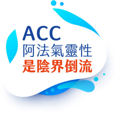 拜網友之賜，去瞭解了一下什麼剩火傳承AＣＣ阿法氣靈性。